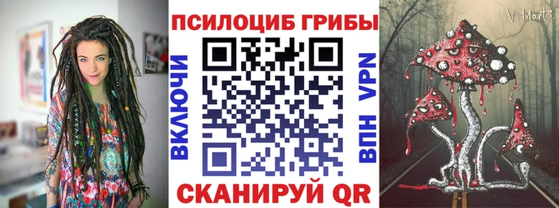 Галлюциногенные грибы Cubensis  Южа 