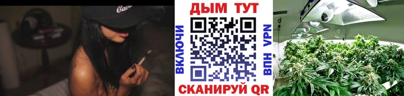 Канабис сатива  Южа 